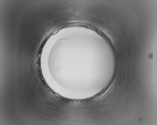 X0000116331357201001131016