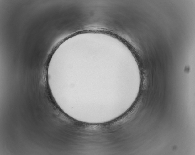 X0000116331358201001131015