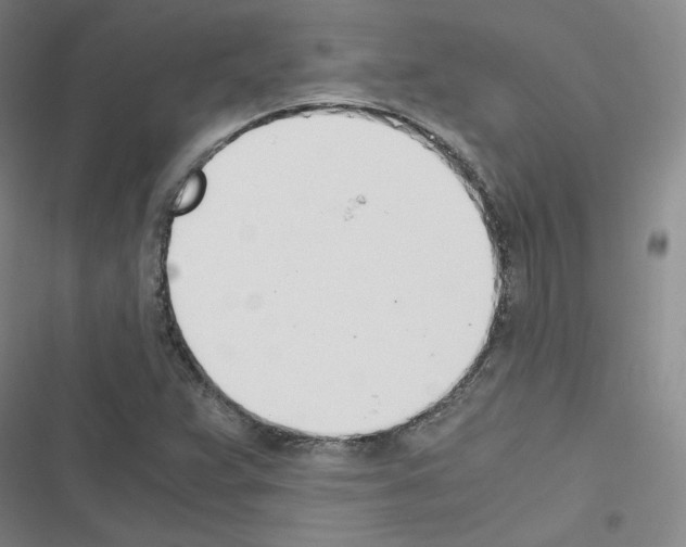 X0000116331359201001131015