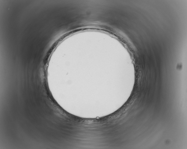 X0000116331360201001131015