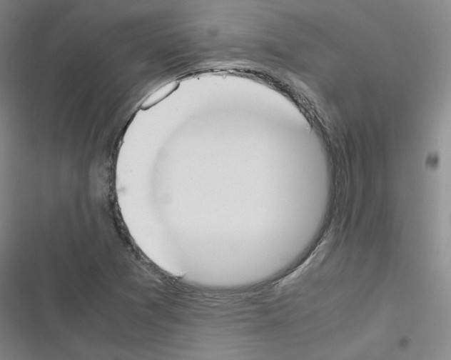 X0000116331361201001131015