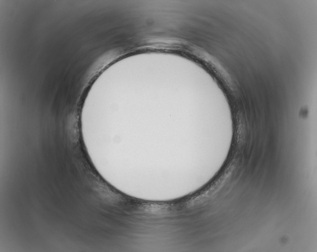 X0000116331362201001131015