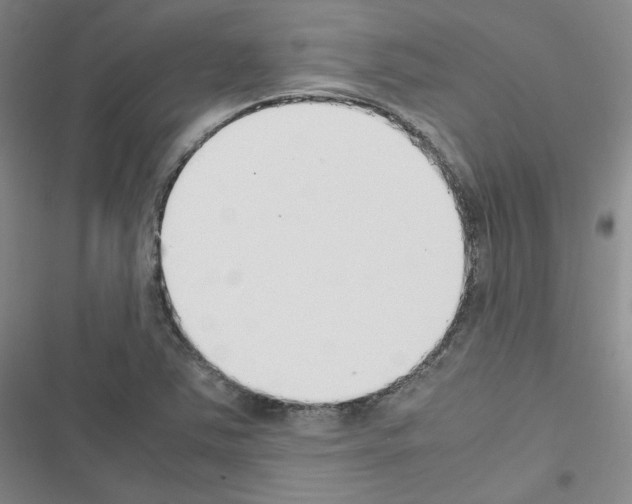 X0000116331363201001131015