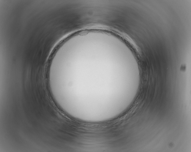 X0000116331364201001131015