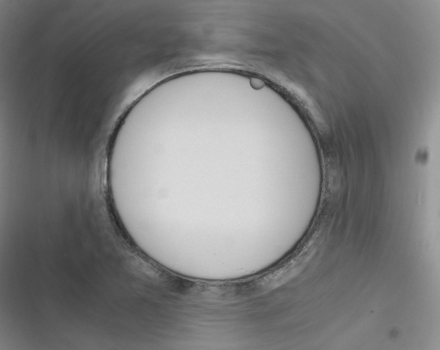 X0000116331365201001131015