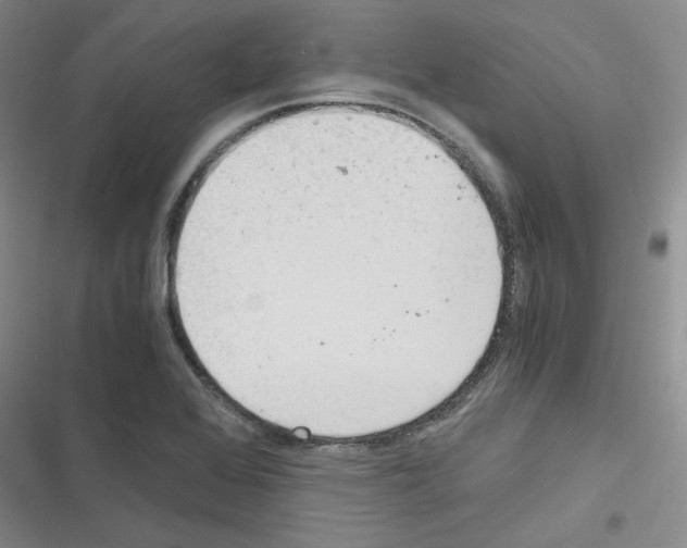 X0000116331368201001131015