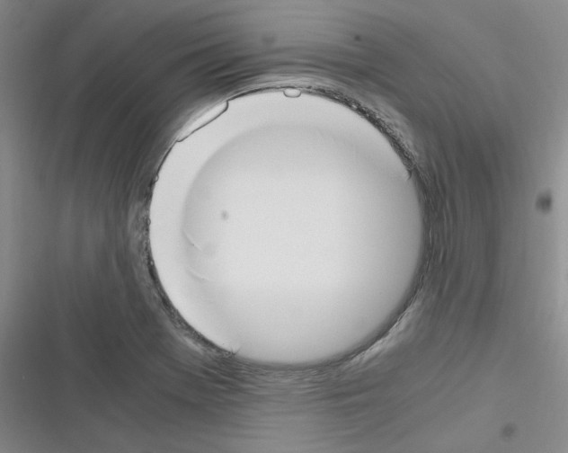 X0000116331369201001131015