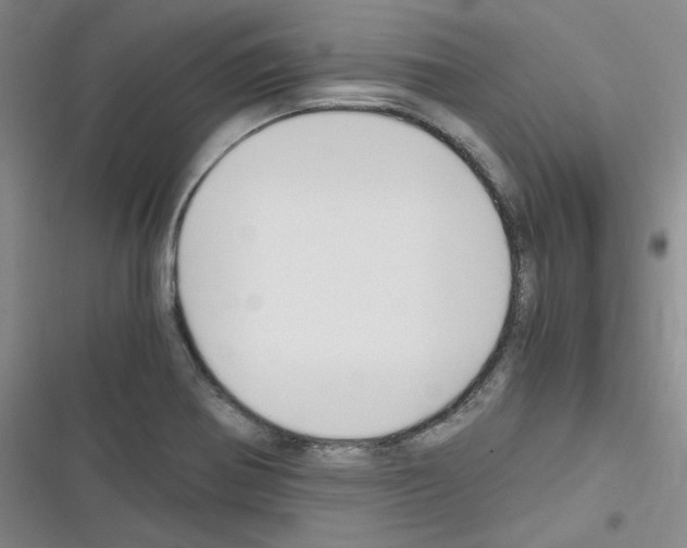 X0000116331370201001131015