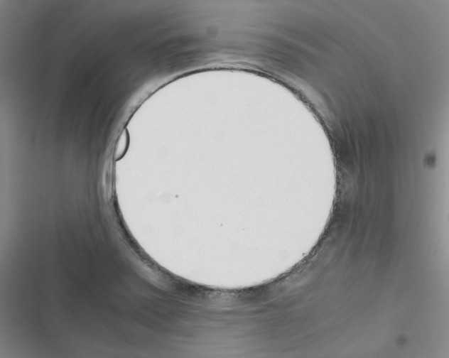 X0000116331371201001131015
