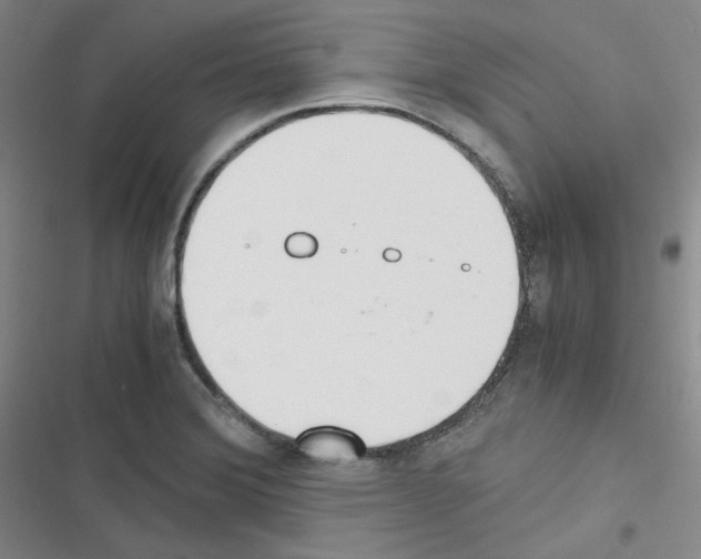 X0000116331372201001131015