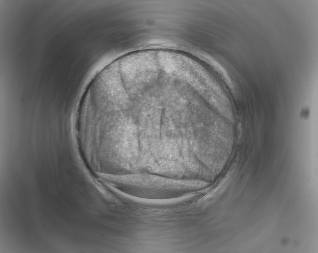 X0000116331373201001131015
