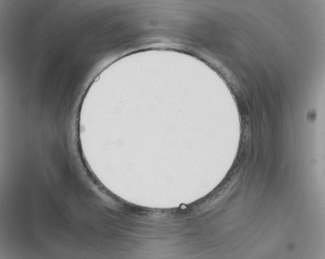 X0000116331375201001131015