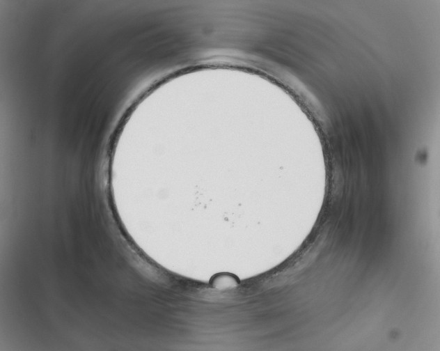 X0000116331376201001131015