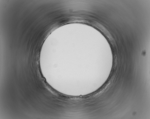 X0000116331377201001131015
