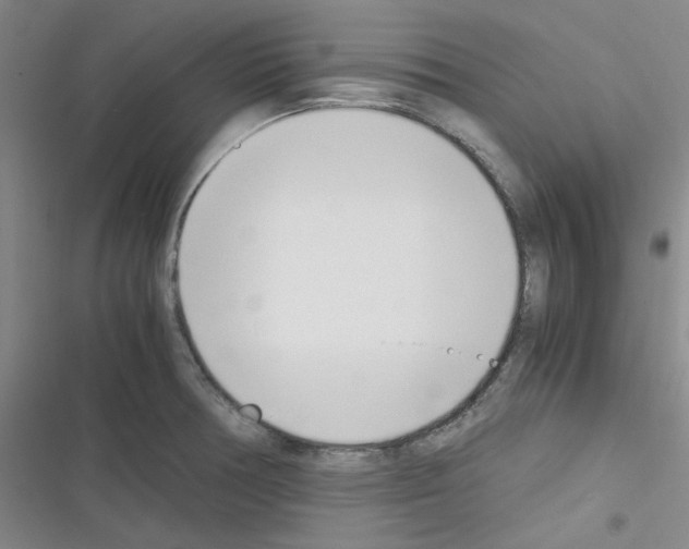 X0000116331378201001131015
