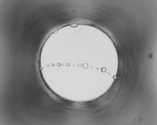 X0000116331379201001131015