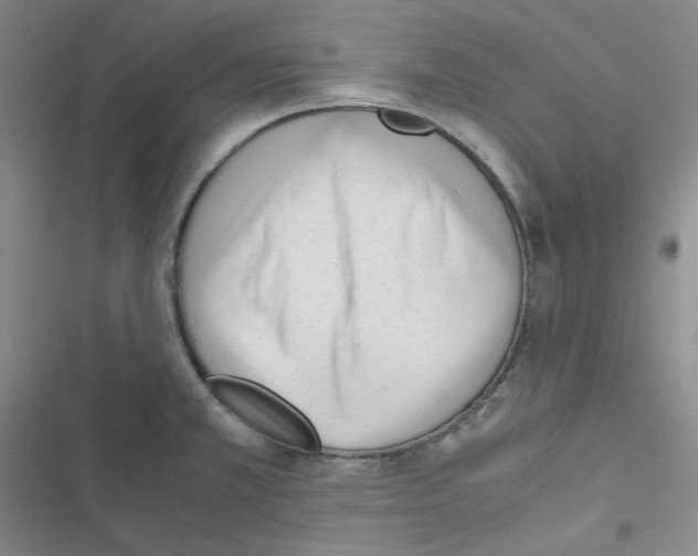 X0000116331381201001131015