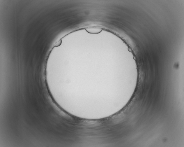 X0000116331382201001131015