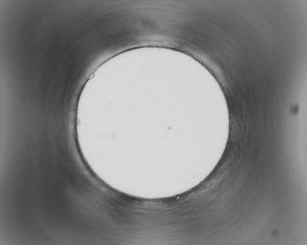 X0000116331383201001131015