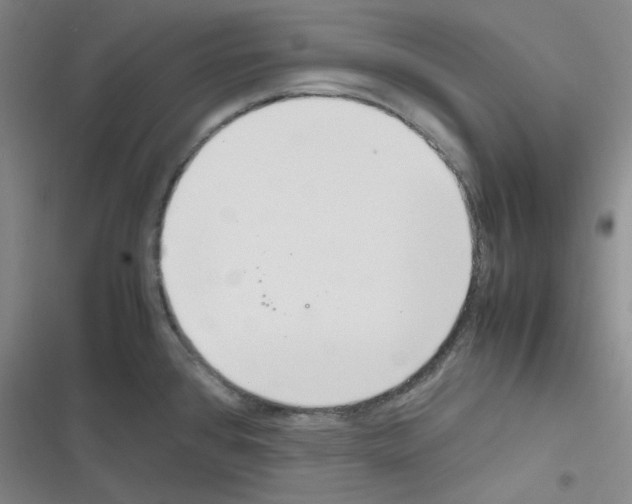 X0000116331384201001131015