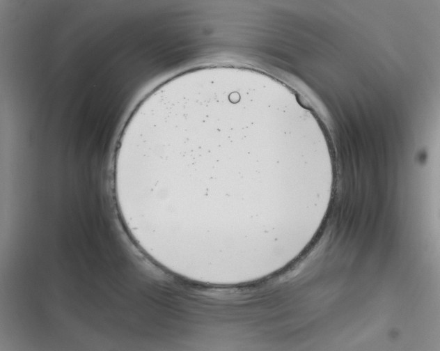 X0000116331388201001131015
