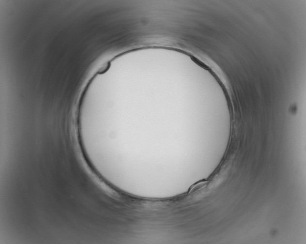 X0000116331389201001131015