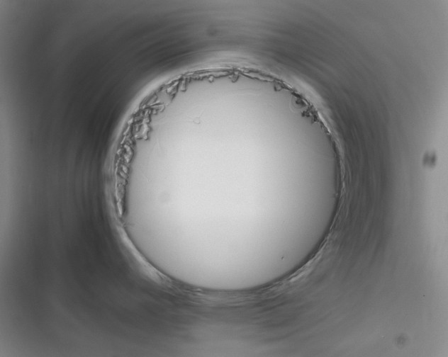 X0000116331392201001131015