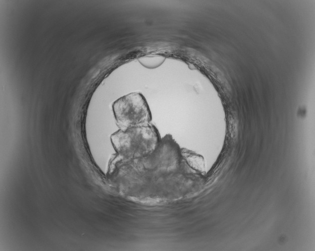 X0000116331393201001131014