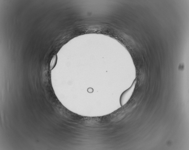 X0000116331394201001131014