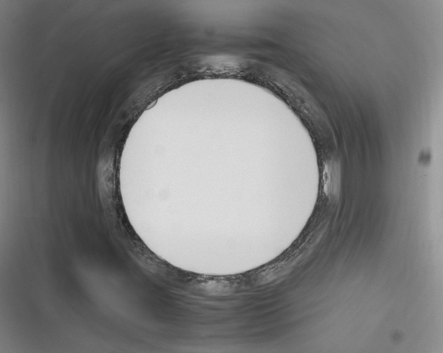 X0000116331395201001131014