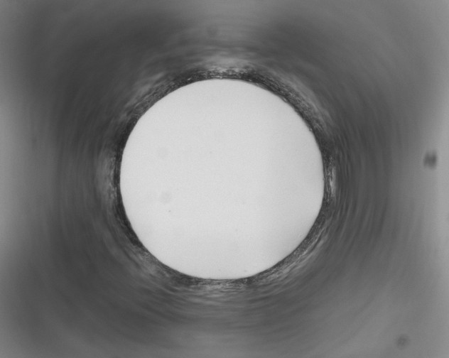 X0000116331396201001131014