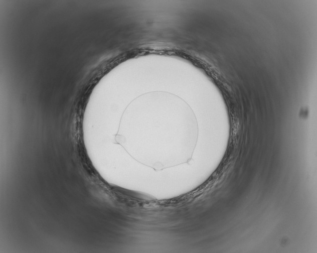 X0000116331398201001131014