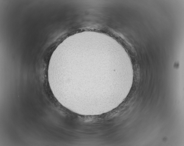 X0000116331399201001131014