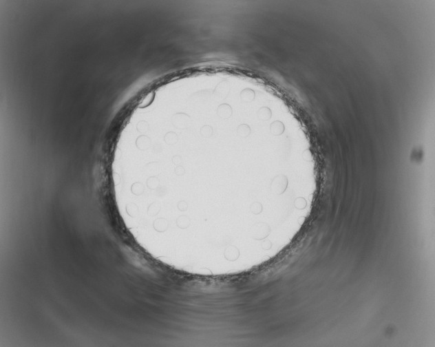 X0000116331400201001131014