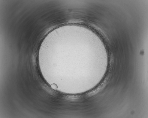 X0000116331401201001131014