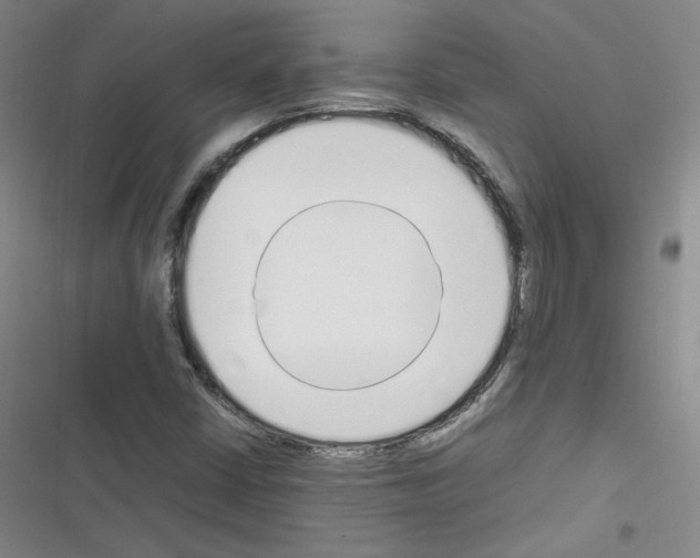 X0000116331402201001131015