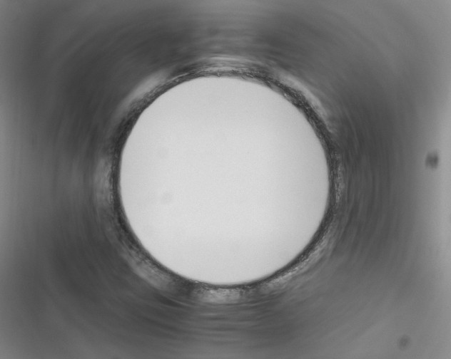 X0000116331403201001131015