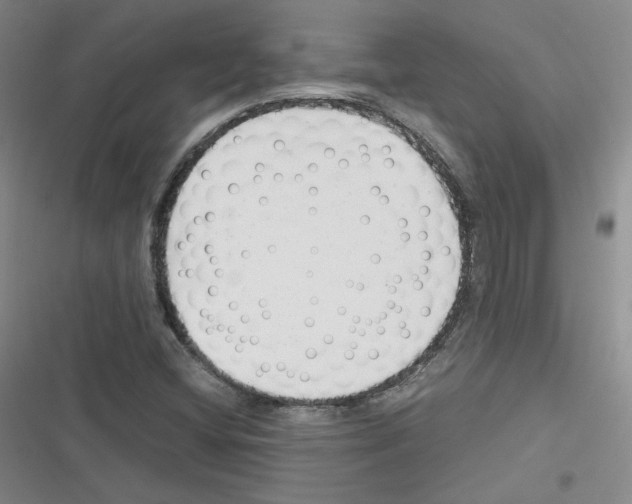 X0000116331404201001131015