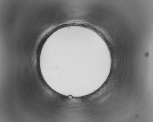 X0000116331406201001131015