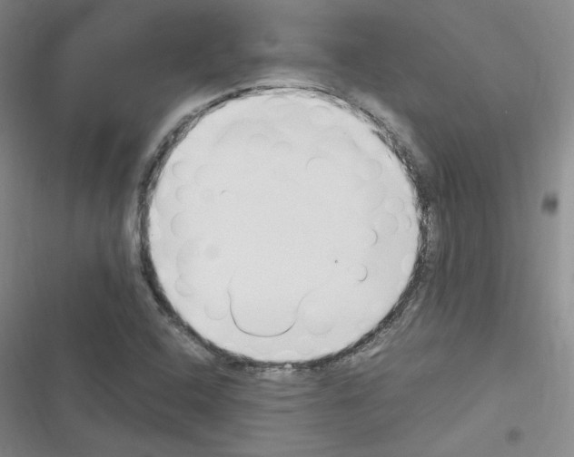X0000116331408201001131015