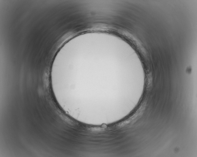 X0000116331409201001131015