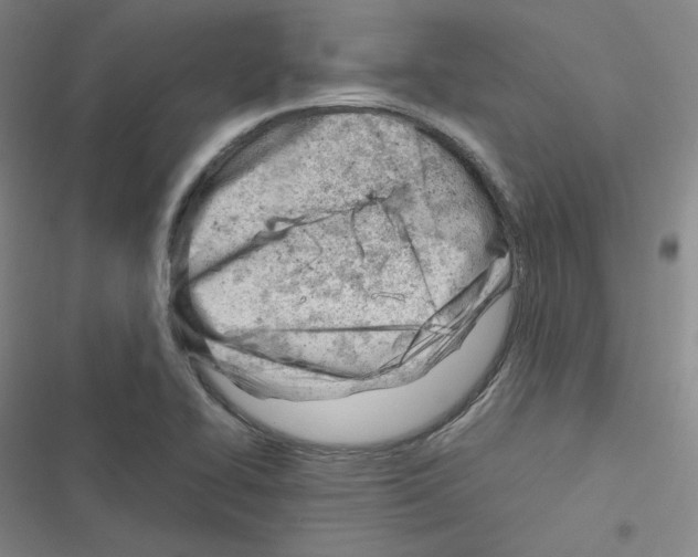 X0000116331414201001131015