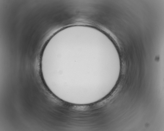 X0000116331415201001131015