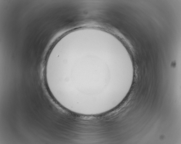 X0000116331416201001131015