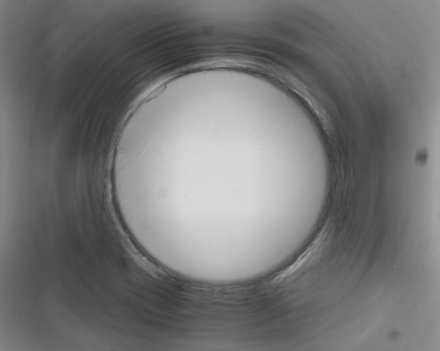 X0000116331417201001131015