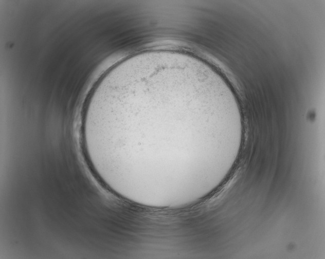 X0000116331418201001131015