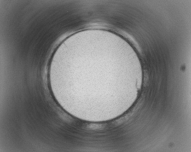 X0000116331419201001131015