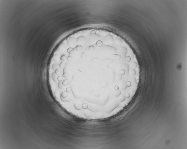 X0000116331420201001131015