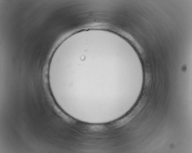 X0000116331421201001131015