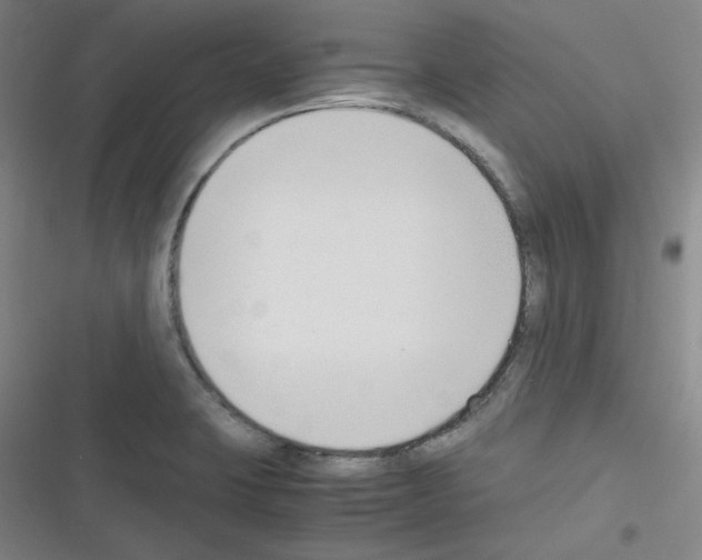 X0000116331423201001131015